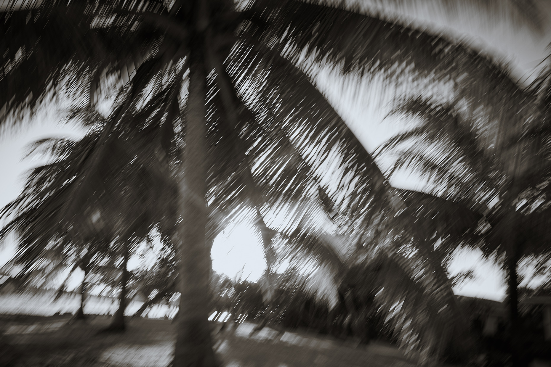 sui_16_SLP2018_02belize_6657_folio